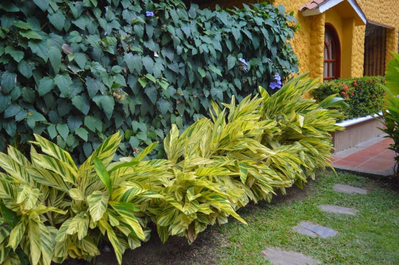 Eco Hostal Kuima El Zaino Bagian luar foto
