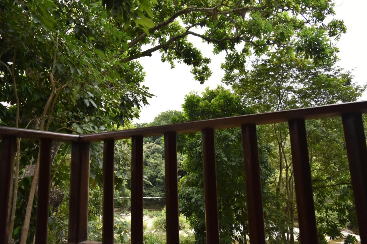 Eco Hostal Kuima El Zaino Bagian luar foto