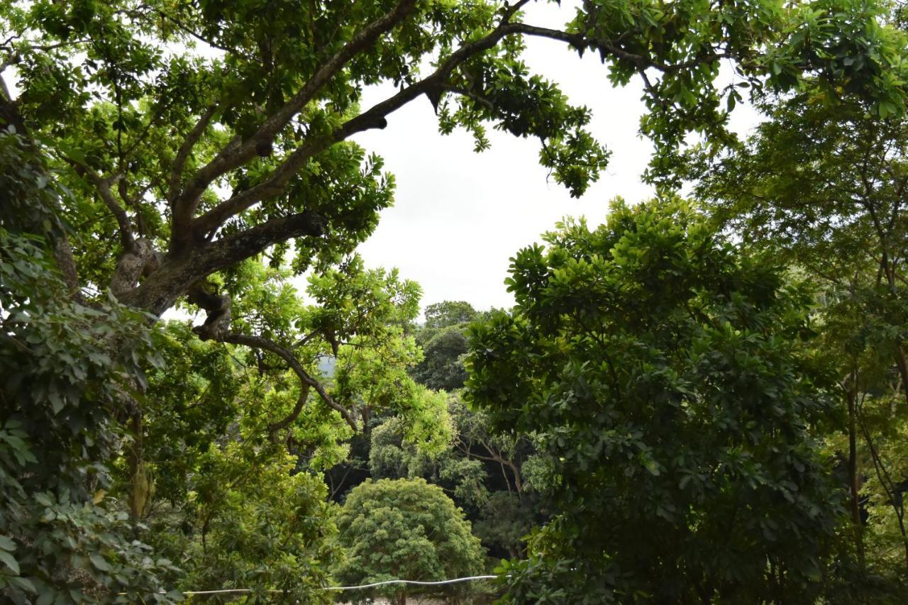 Eco Hostal Kuima El Zaino Bagian luar foto